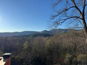 The Grizzly Grove - Ellijay