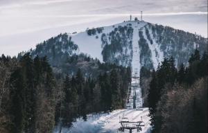 Kokhta-Mitarbi Apartment