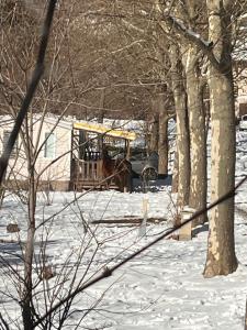 Le mobilhome Chez Camille