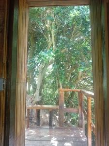 Alojha Coliumo Dichato