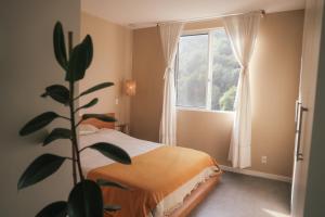 casa casulito em São Conrado com vista incrível