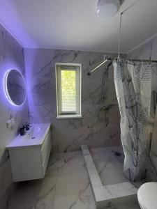 Котедж в Карпатах