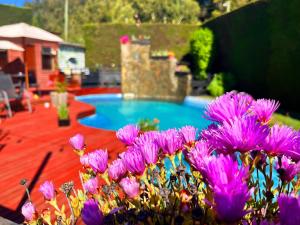 CABAÑAS AIRES DE MAROMILLAS