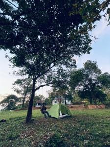 Tent Stay Paithalvillage