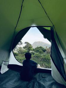 Tent Stay Paithalvillage