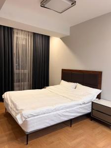 Cozy Downtown Apt in UB