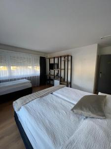 Hotel Europe Brig