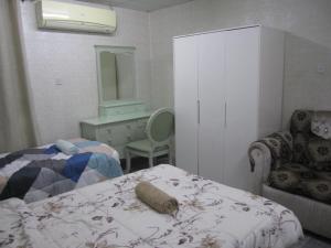 العين الهيلي مصباح ب 2