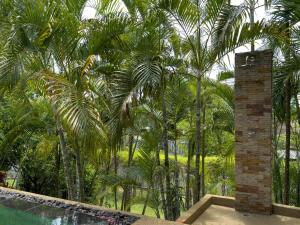 Villa Ravenala By S&p Villa Management