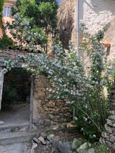 Notre Viree V Studio avec piscine sauna et bassin a remous