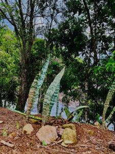 Estalagem Bernardinos