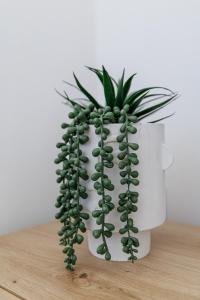 Cozy and bright appartement - Port of Nice