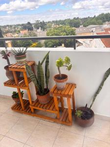 Experiencia Brown a Mtros Sanatorio Juncal