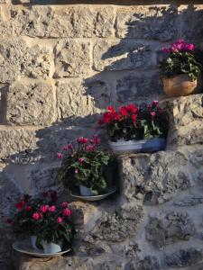 Beltrullo Pietrevive