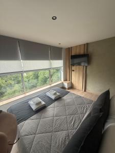 Nuevo Centro Hotel Mendoza