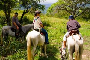 Parque del Mango Tipis