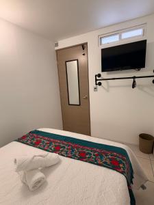 Habitación en Coyoacán 3