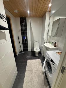 Lapland Apartments with sauna, free WiFi and parking next to the railway station