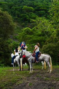 Parque del Mango Tipis