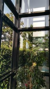 Black Box village with garden