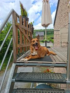 Peace&Loft in Durbuy Old