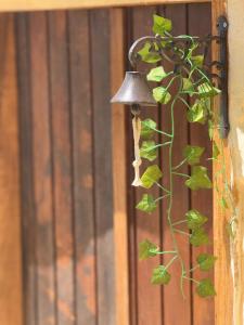 Rancho Navarro - Caverna