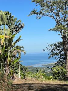 In the Heart of Nature