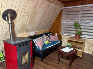 Valentines Day Host Mary Leo Accommodation House