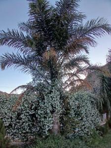 Cuesta de san miguel