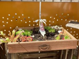 Ferienwohnungen Hubertus