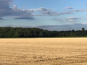 BimbleBox Stable - with HOT TUB and countryside views