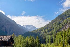 Torre St Orso 4061 - Maison Gerard