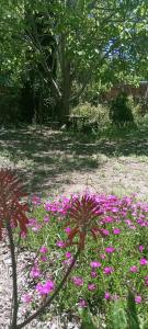 Chalet La Gran Familia