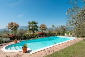 Il Grappolo E La Rosa