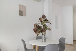 Apartamento Perez Zara 5
