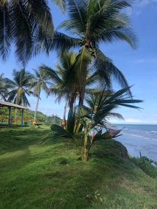 Hotel EL PALMAR TOURS