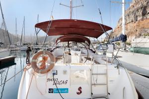 Pato Lucas Sail Boat