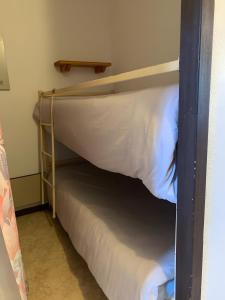 Appt de montagne Araches