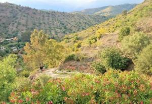 Finca Santa Matilde Málaga