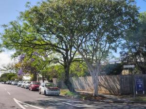 Welcome to your leafy retreat in Graceville!