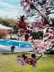 Hotel Boutique Spa & Sushi Posada de Campo-Solo adultos