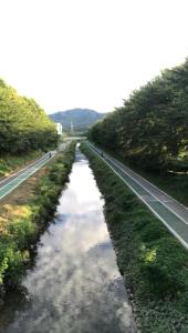 Modern house with forest