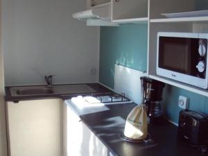 Mobil-home avec Terrasse au Camping Mas Llinas - API-1-52-373