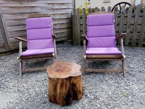 Roulotte Insolite avec Bain Nordique Privé à La Flèche - FR-1-410-485