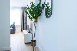 Fully Equipped Apartment, lovely bed