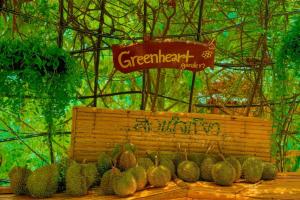 Greenheart Garden View Camp Phuket