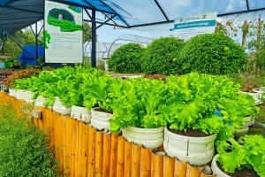 Greenheart Garden View Camp Phuket