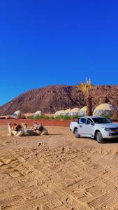 Bilal luxury camp