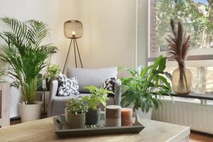 Group-Friendly Stay in Tilburg Walk to 013