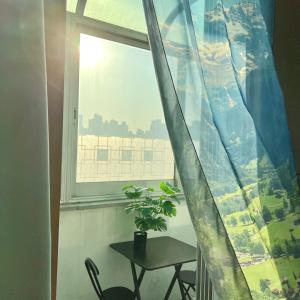 Shelter Yeongdeungpo Branch